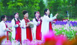 老年人舞蹈视频,老年人舞蹈视频的魅力与启示